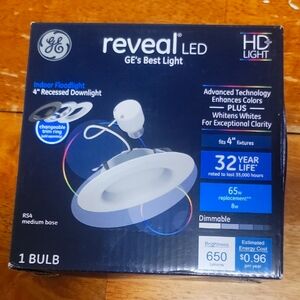 Reveal LED Indoor Floodlight
